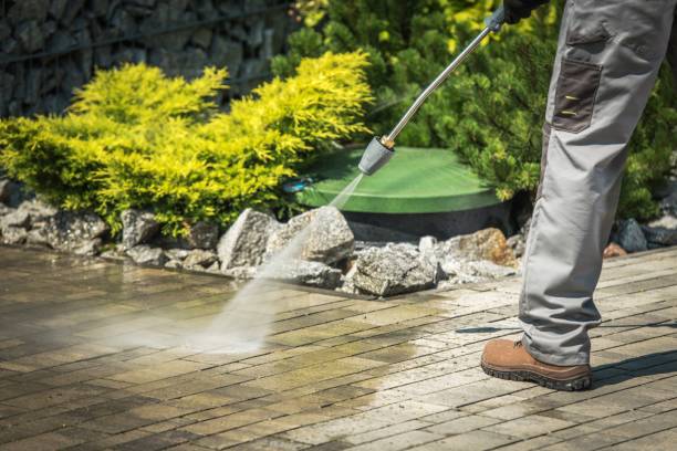 Best Pre-Holiday Cleaning  in Makakilo, HI